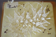 DSCF1180