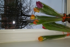 20180308_175550