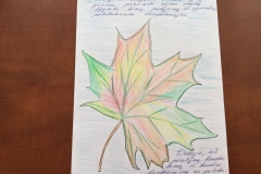 30850227_371935393294193_1366125137_o